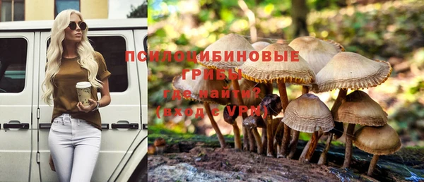 не бодяженный Алзамай