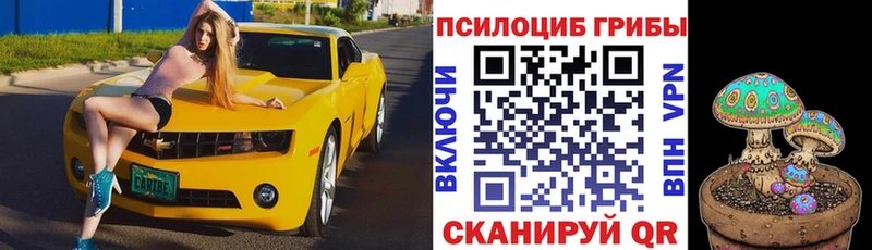 как найти   Полысаево  Псилоцибиновые грибы прущие грибы 